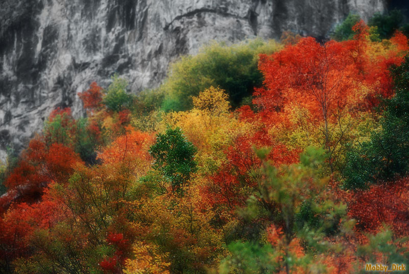 Осень Bulgaria ; Iskar River ; Iskar Defile ; Skaklya Waterfall,