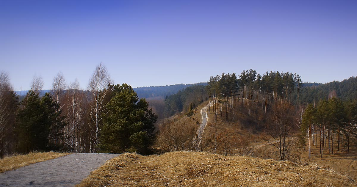 Так хотелось полететь... 
