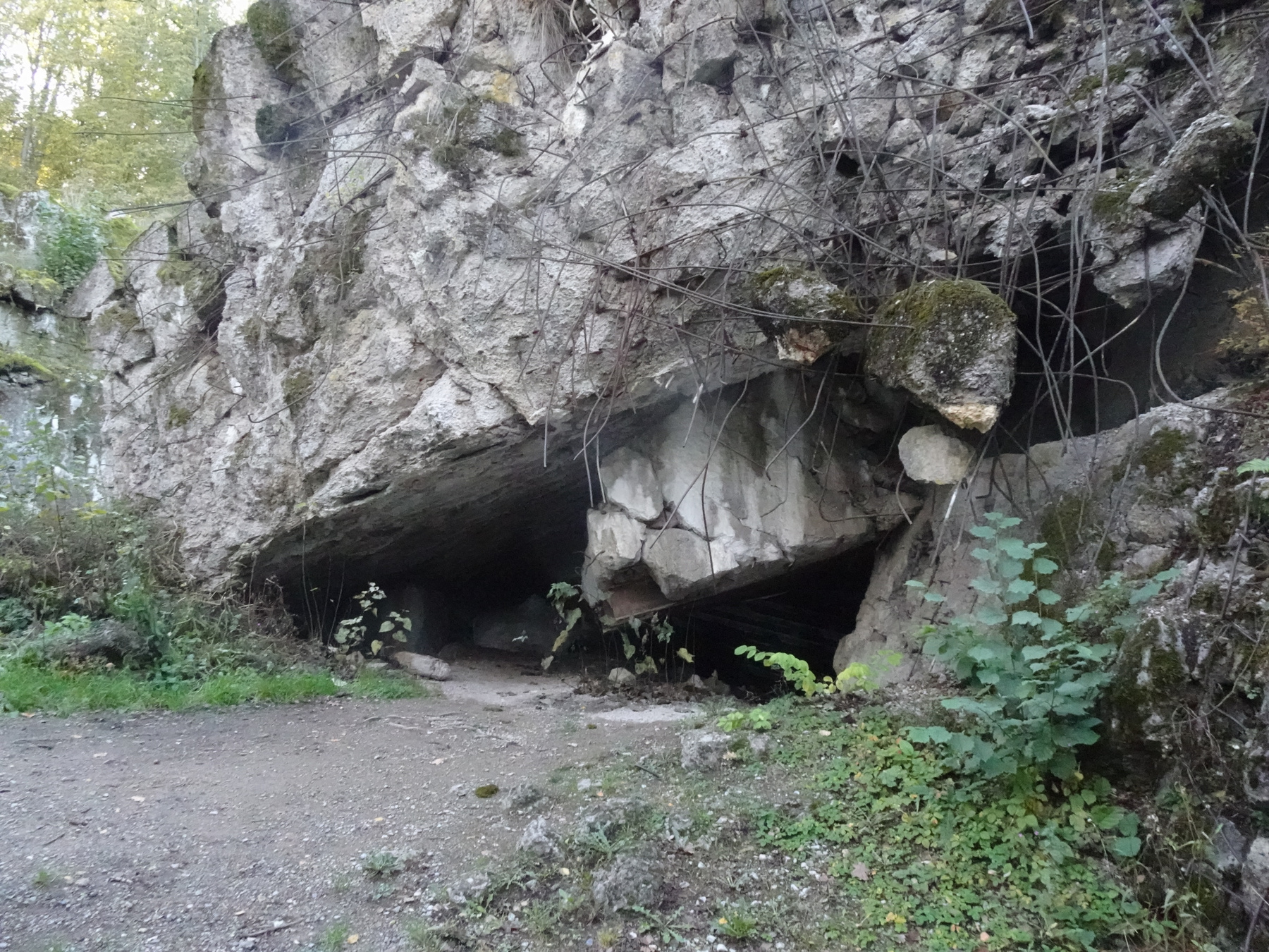 Ставка Гитлера Wolfsschanze Волчье логово Польша Wolfsschanze Гитлер