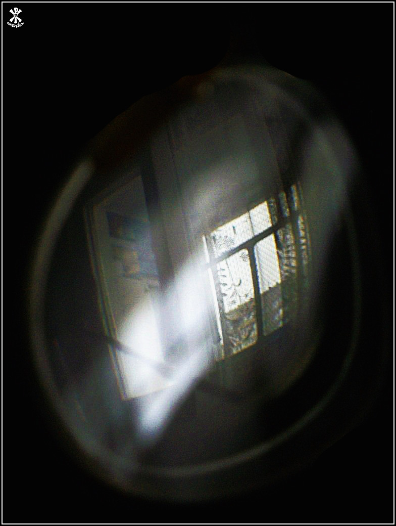 ***bubble of perception 