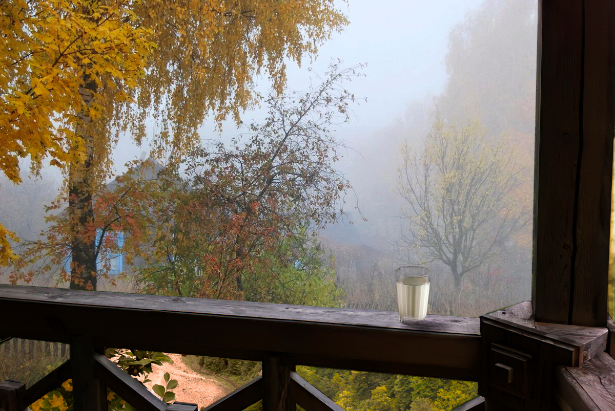 * фотонавеллы о деревне. "Стакан молочного тумана." (архивное) 