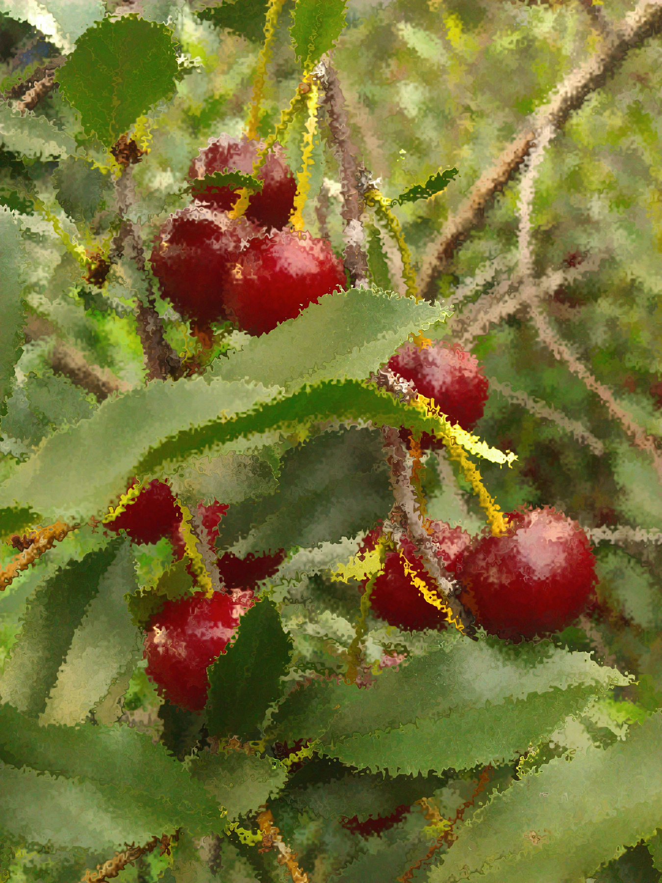 Cherry 