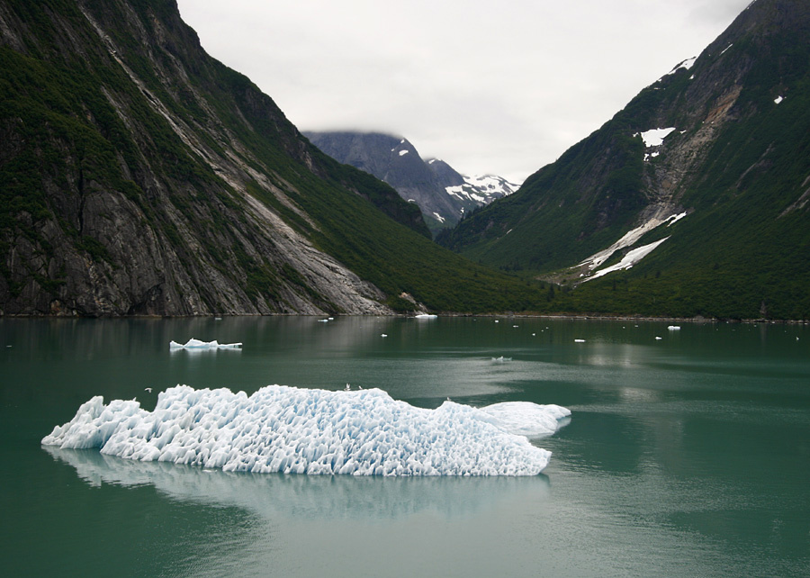 Аляска, Август, Айсберг Alaska Tracy Arm Fjord