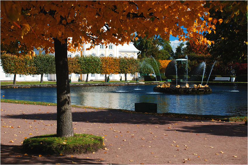 *** Петергоф осень