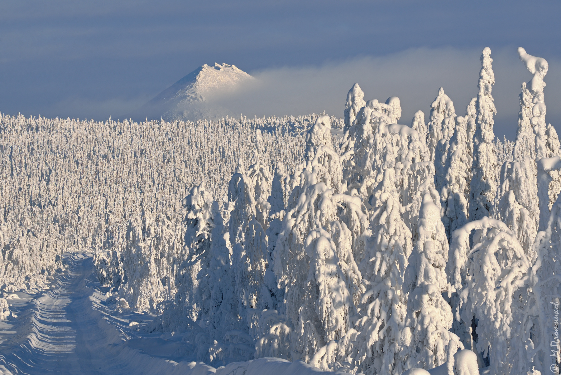 Дорога на Шудью Пермский край Шудья-Пендыш январь