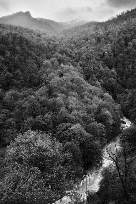 Canyon of Debed 