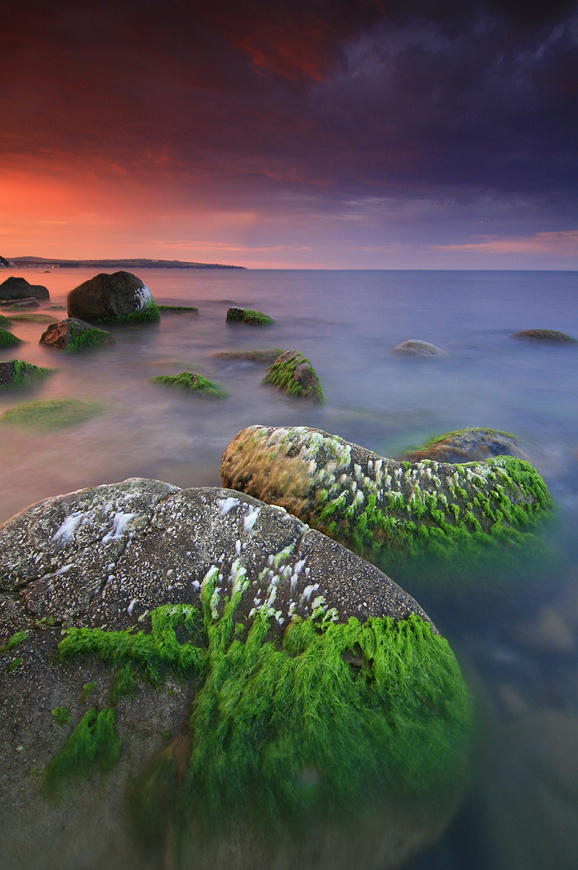 Летние Водоросли Болгария, закат, море