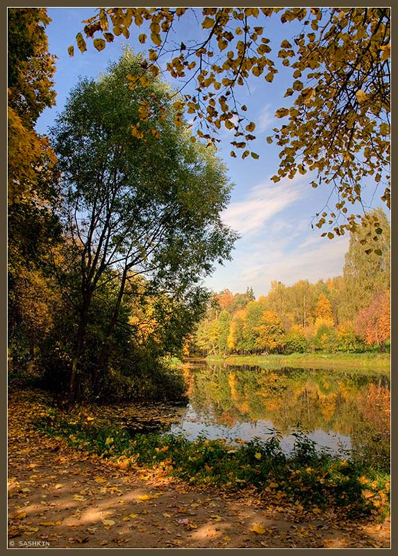 Осеннее осень природа парк