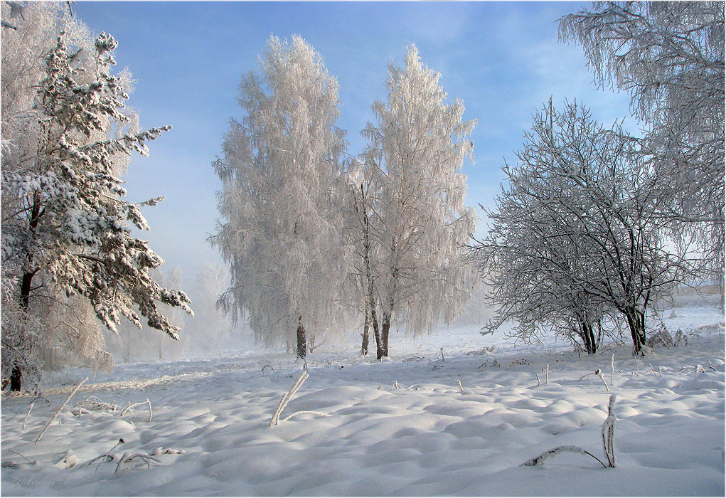 Зимнее утро 
