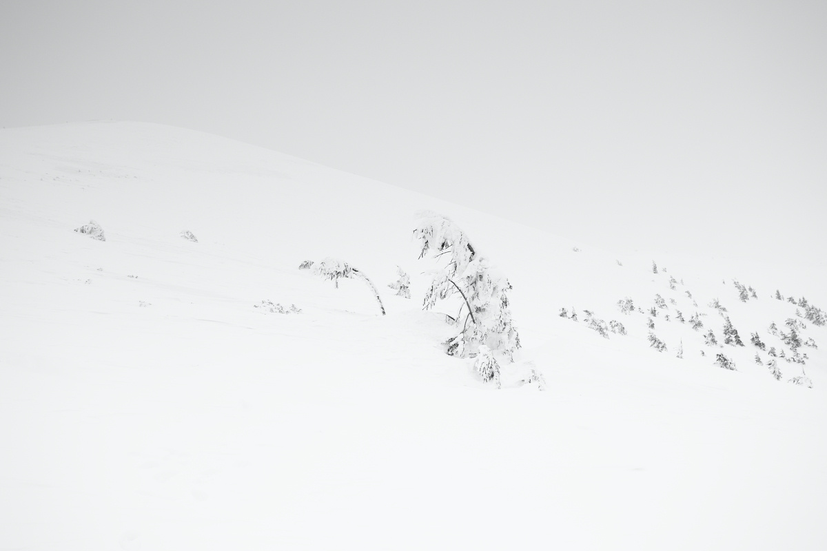 Climbing up зима снег природа горы иней