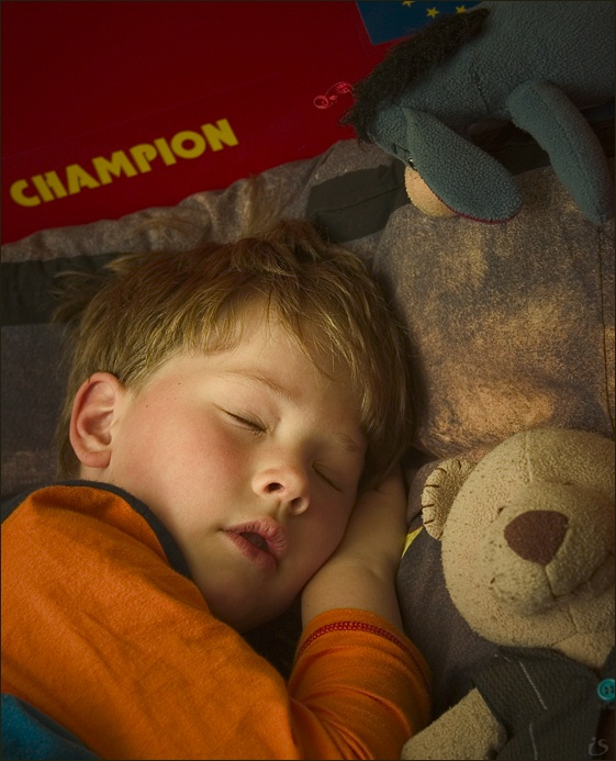 champion is sleeping 