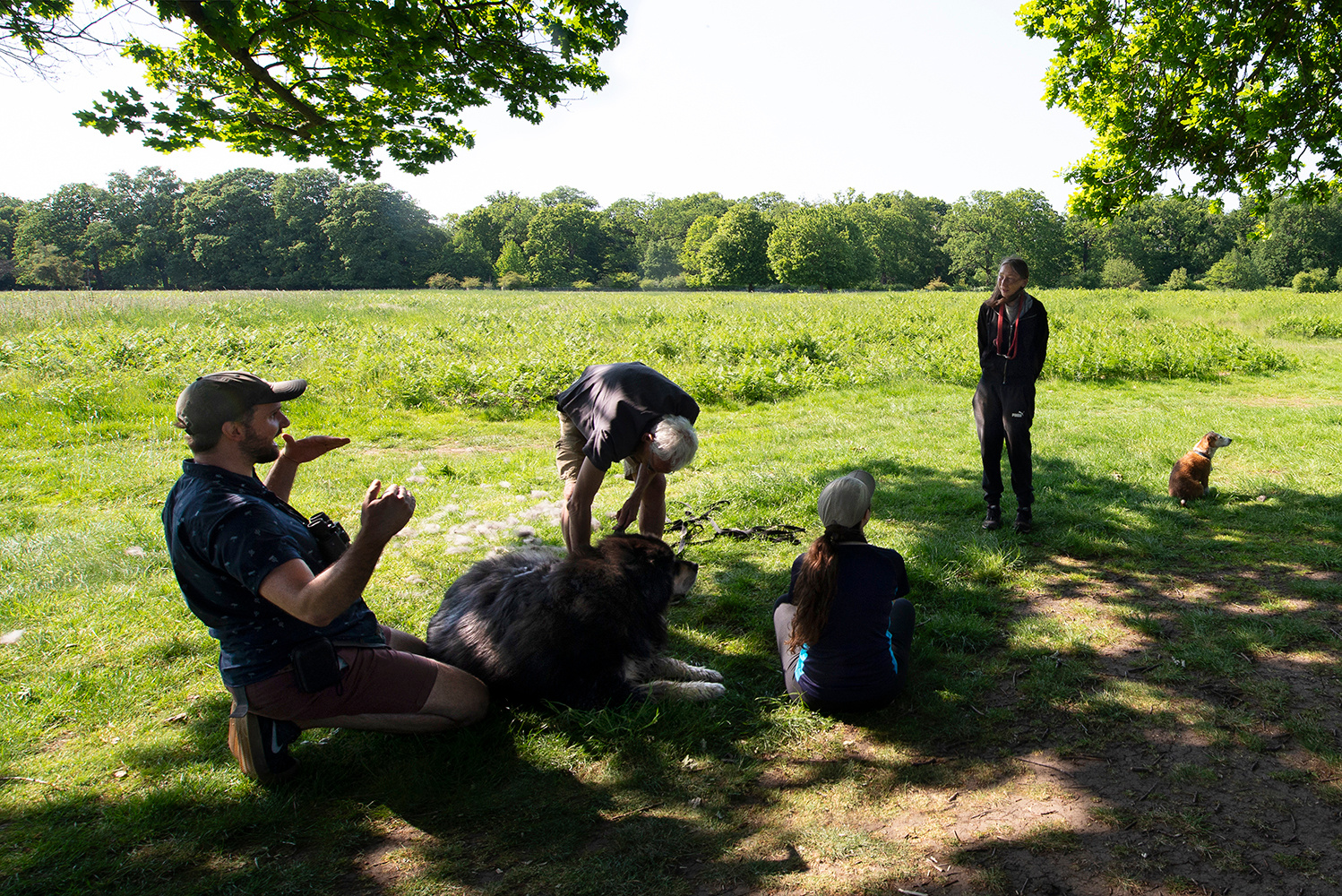 В Хамптон Корт Парке Лондон Хамптон Корт Парк Hampton Court Park