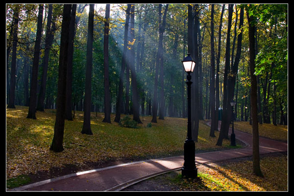 Осень. Утро. Парк. Фонарь. осень парк фонарь лес свет лучи Царицино