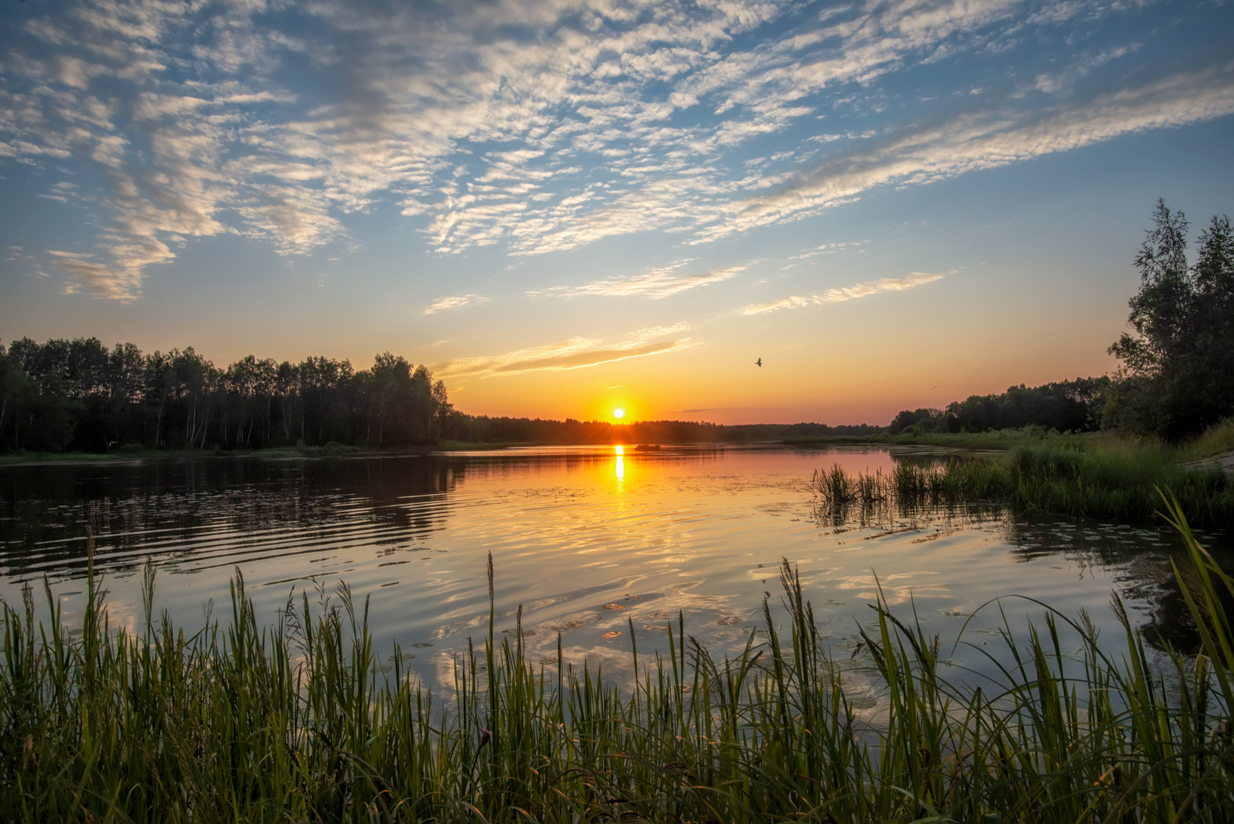 Лето красное 