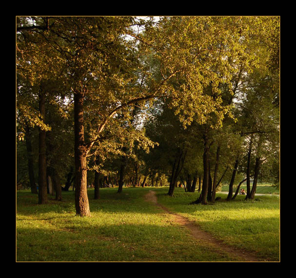 По летней тропинке лето парк тропинка