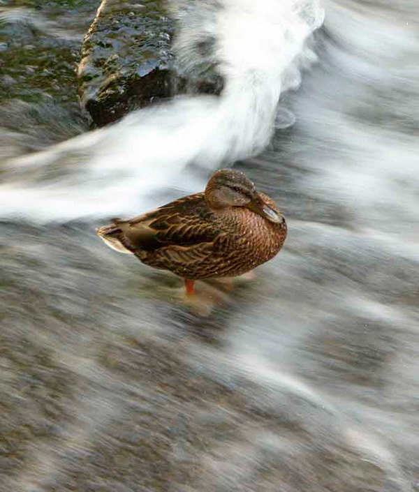 Водопад 