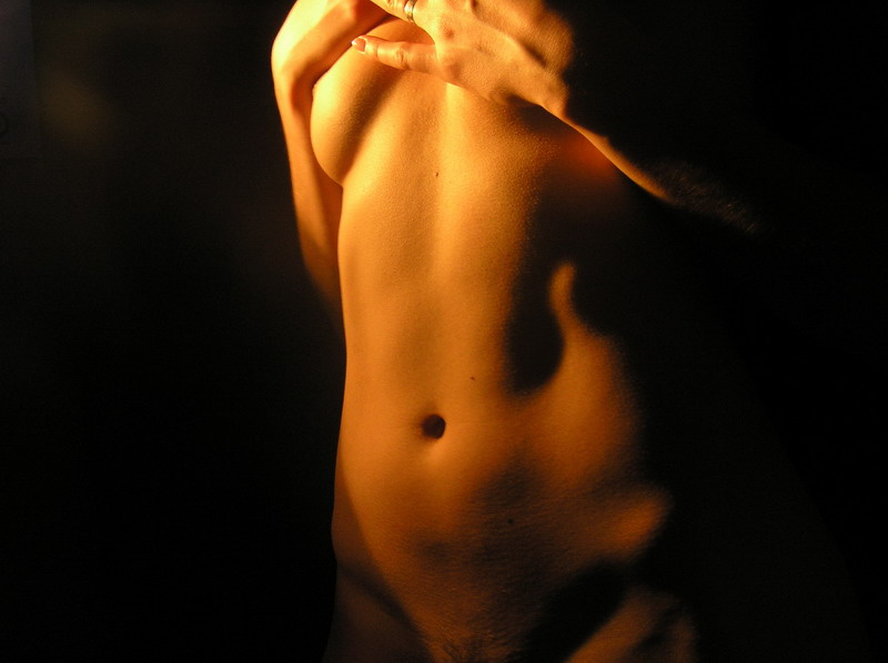 torso 
