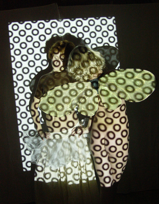 Butterflys 