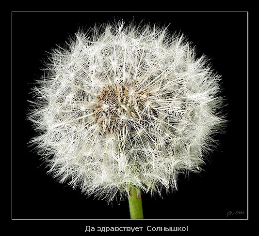 Пусть всегда...! будет солнце