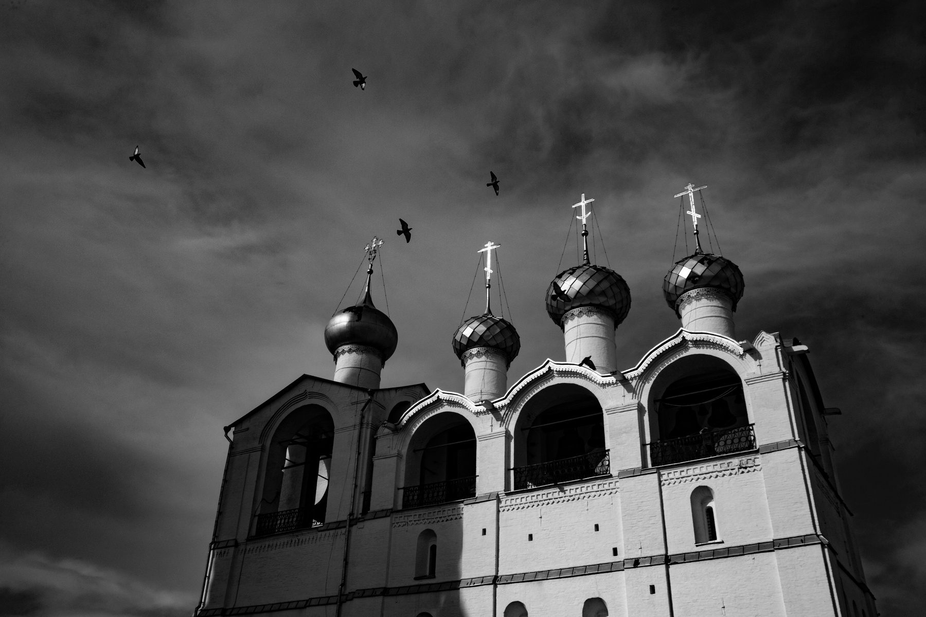 Птицы 