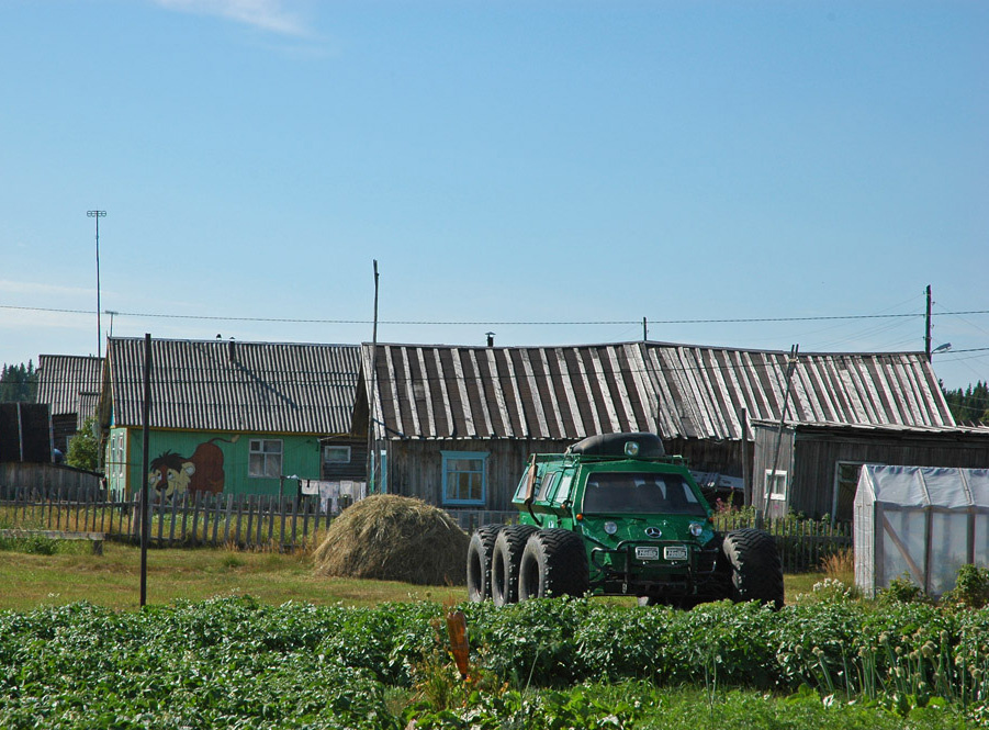 Навоз на чем то  ж надо  вывозить Деревья машина дома