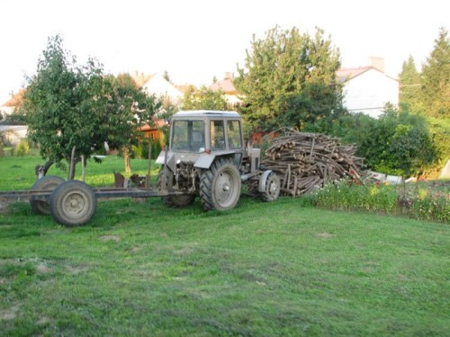 утро в деревне 