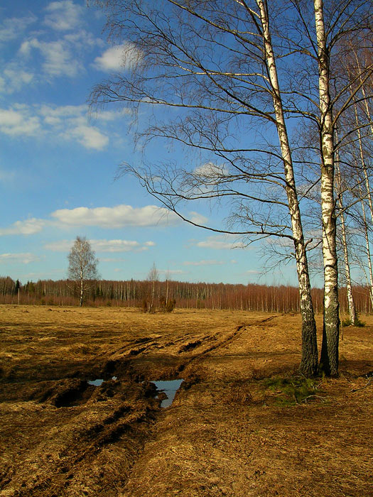 Апрель Чкаловск
