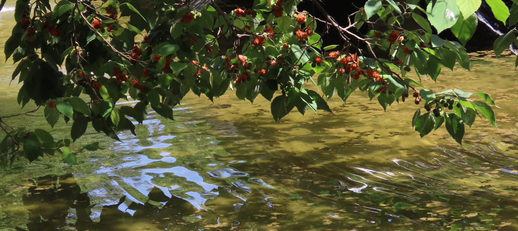 У воды 