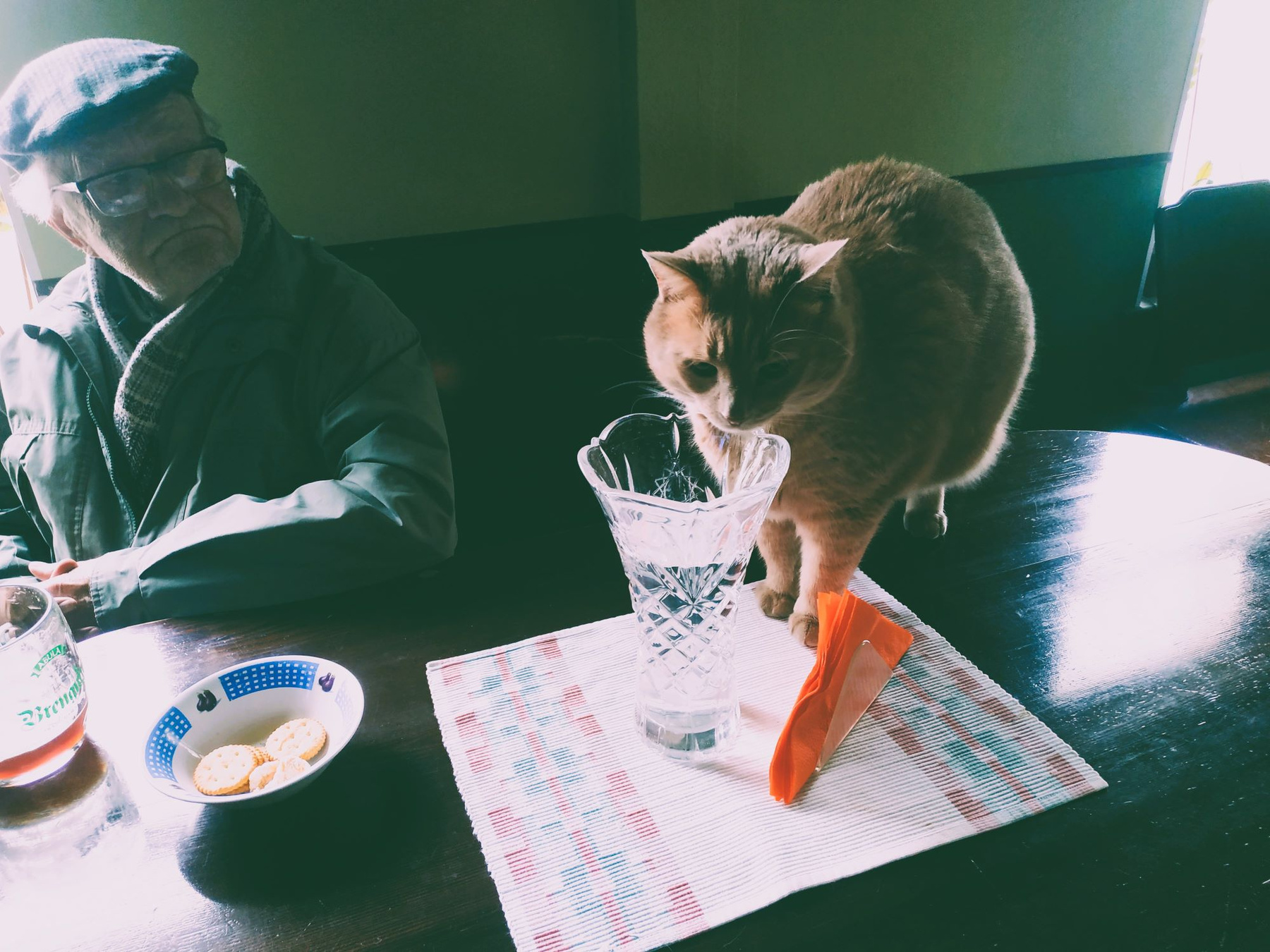из жизни котэ 