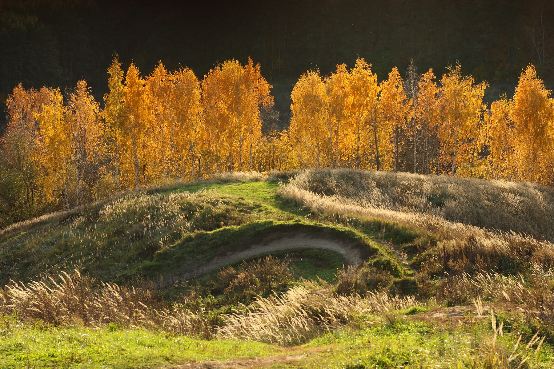 autumn 