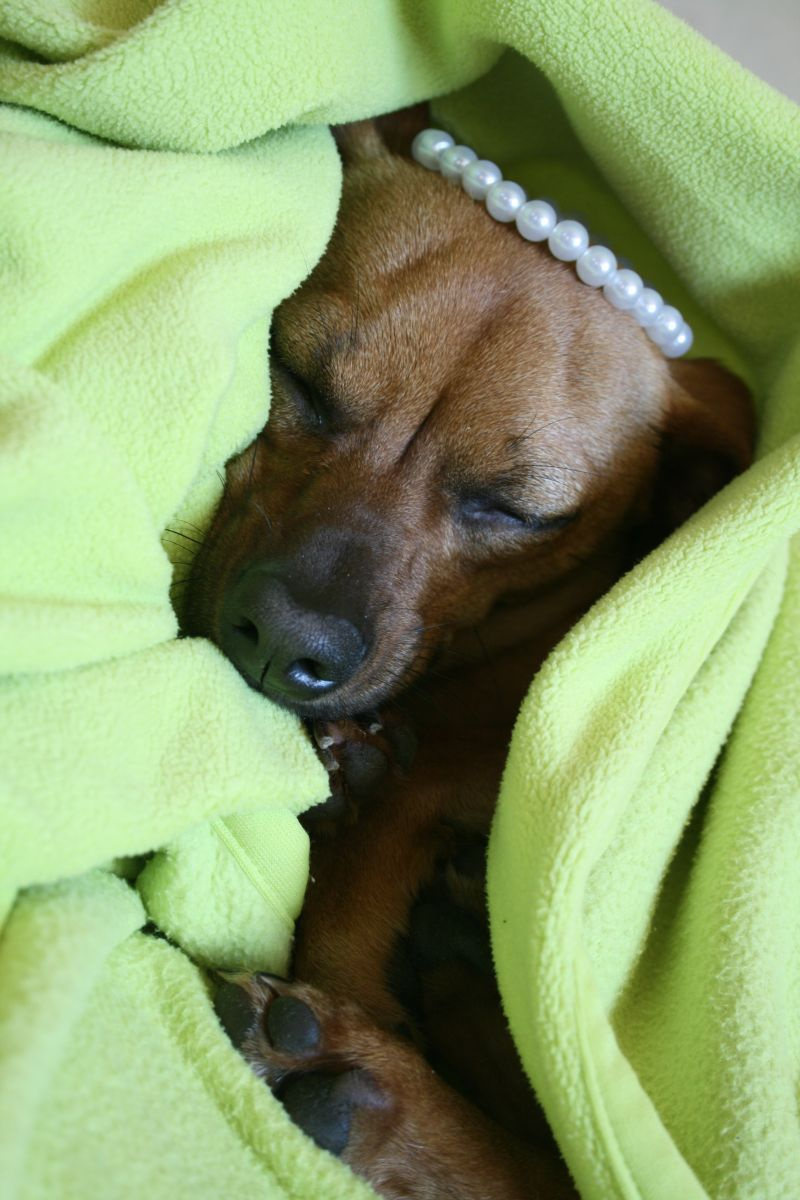 Son sleep