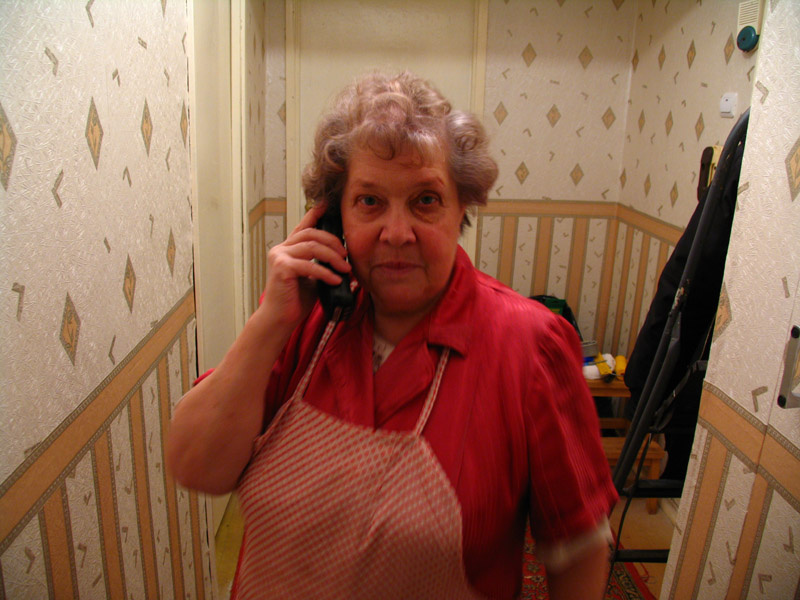 Das telefonische Gespräch. (фрау Марта) телефон разговор пансион фрау