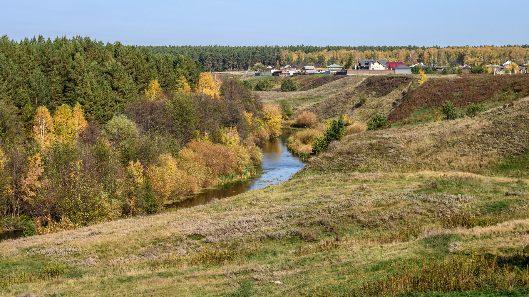 *** пейзаж лес россия деревья осень река теча