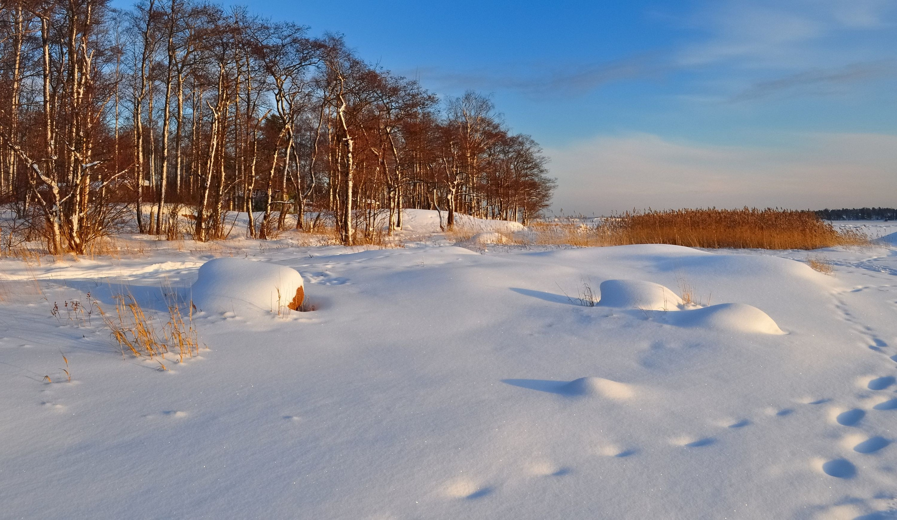 На заливе. Январь  зима Финский_залив Хельсинки winter Gulf Helsinki