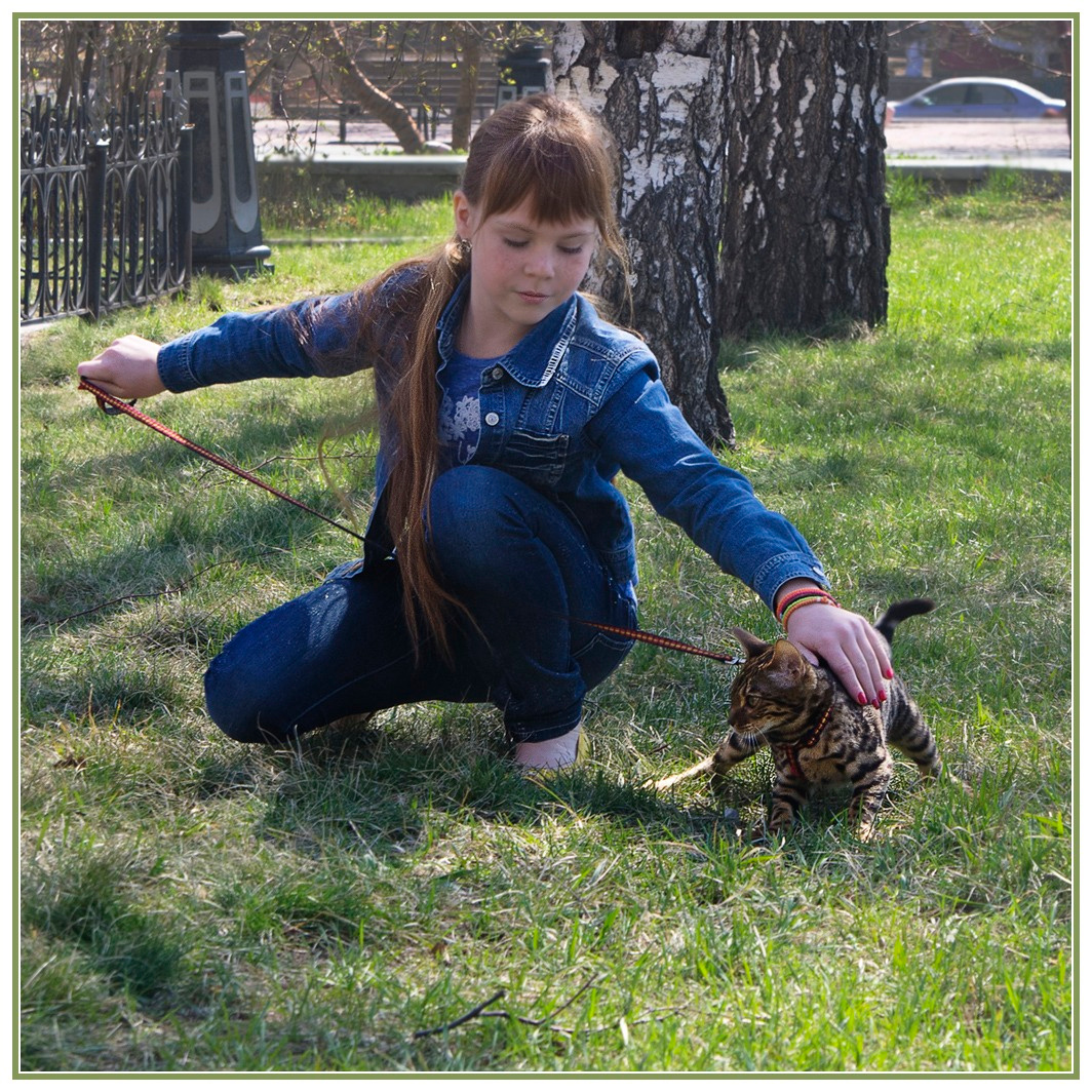 Укротительница 