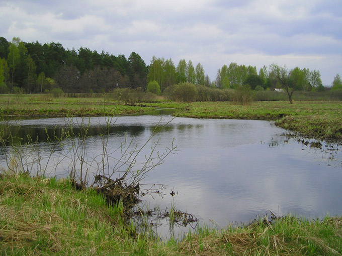 на Нерской Весна Пасмурно Нерская Беливо