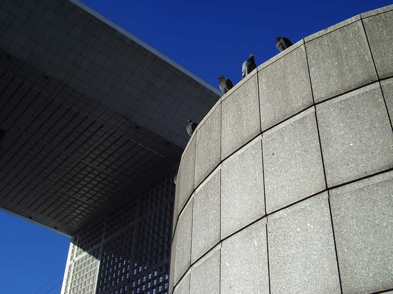 птички на фоне вдохновения Миттерана Paris La Grande Arche de la Defense