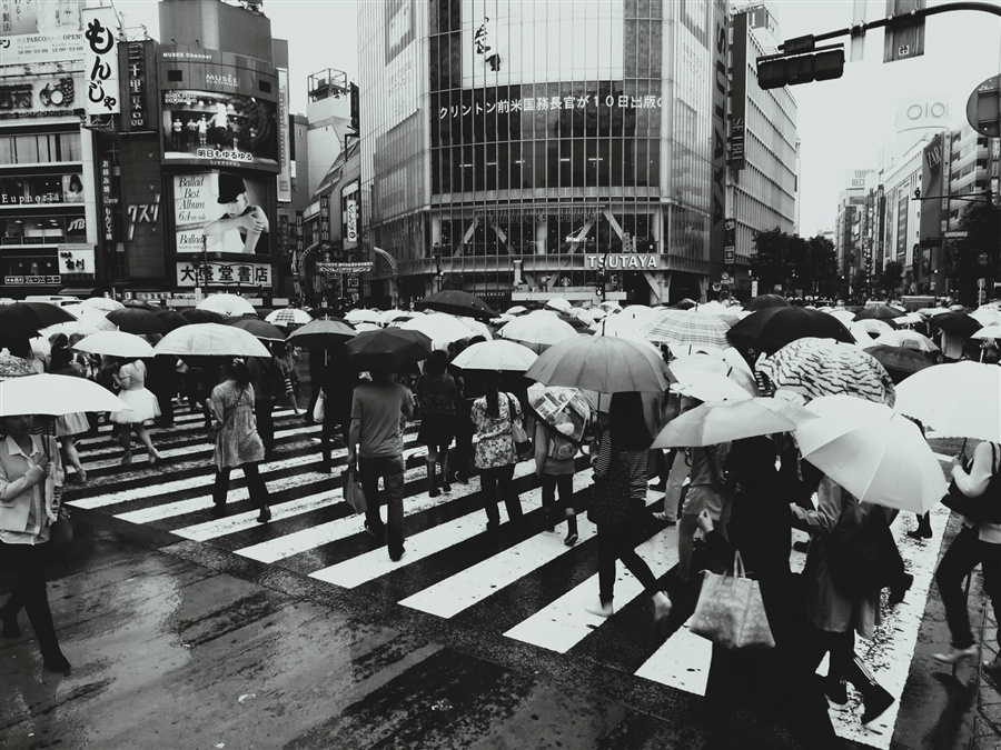 Они идут в тишине дождя... лето июнь токио перекресток Сибуя Shibuya Crossing дождь люди прохожие движение зонтики япония