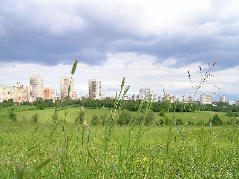 Парк парк