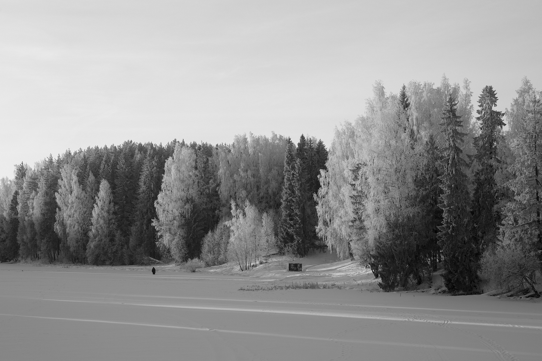 р. Оредеж 