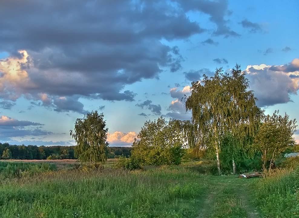Без имени небо лес облака береза вечер