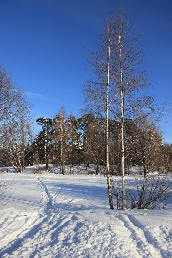 Зимний пейзаж 