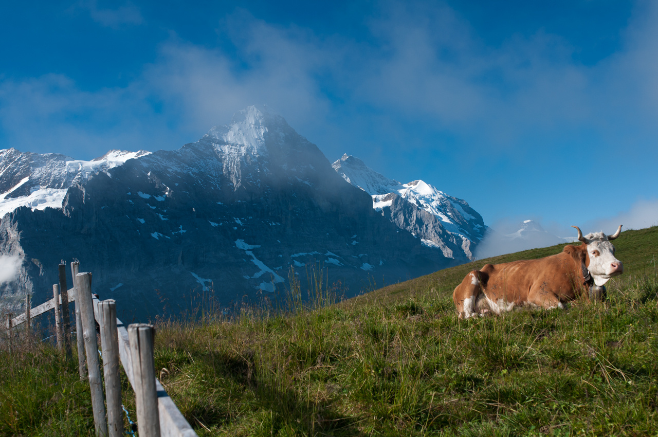 A Stroke of Luck Switzerland Grindelwald