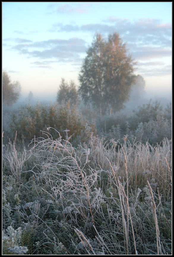 Иней... Siberia.