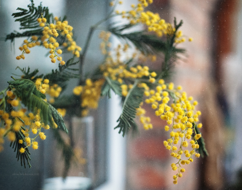 *** spring