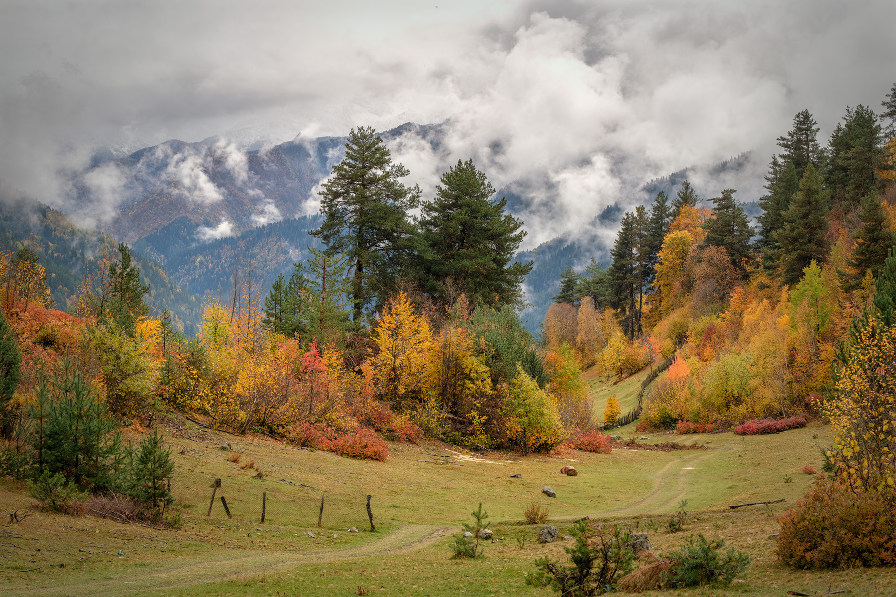 Tsvirmi Autumn 2 svaneti tsvirmi fall autumn trees mountains clouds sky nature landscape scenery travel outdoors georgia sakartvelo chizh