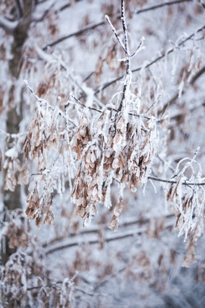 *** 
