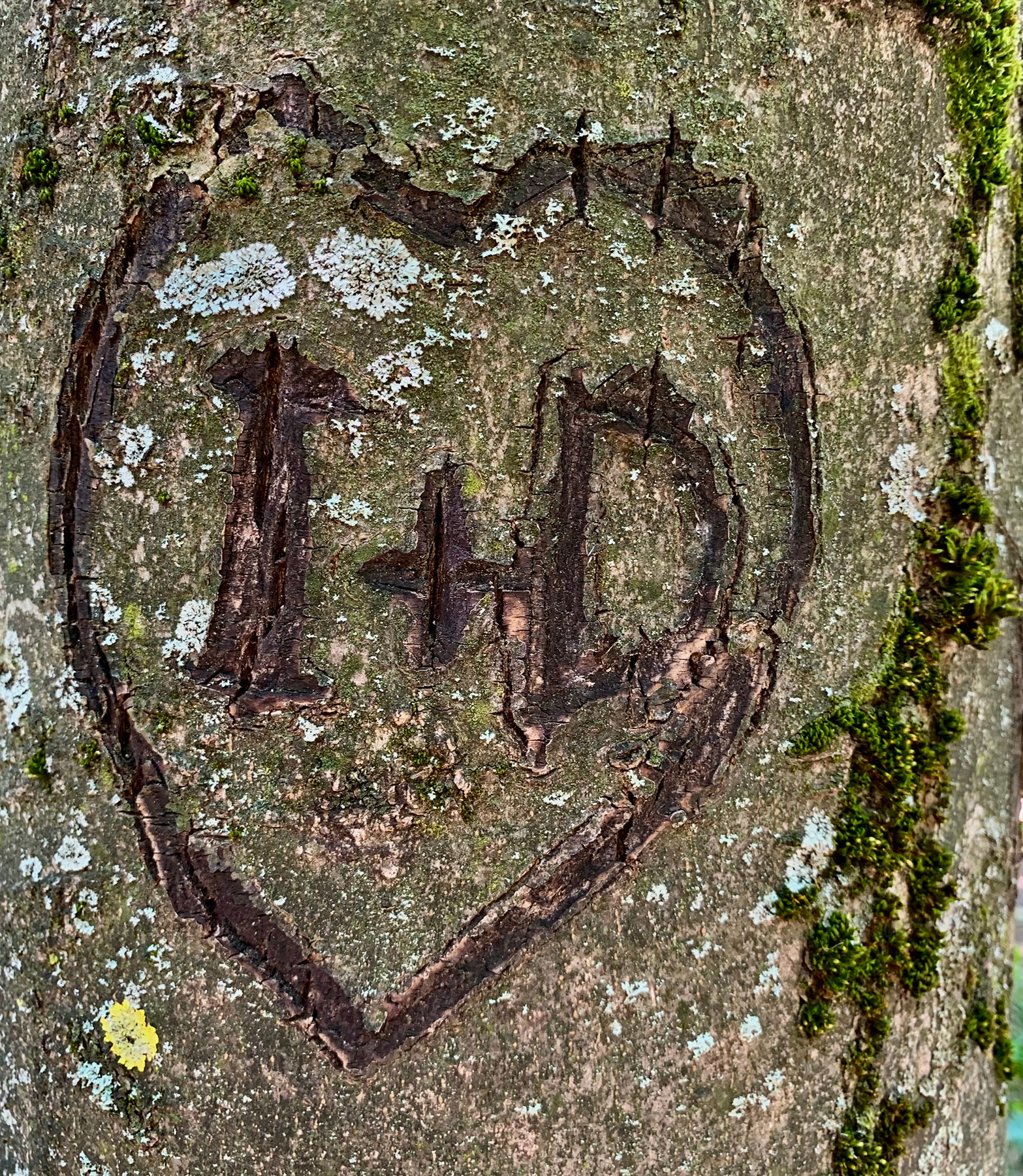 ***! 