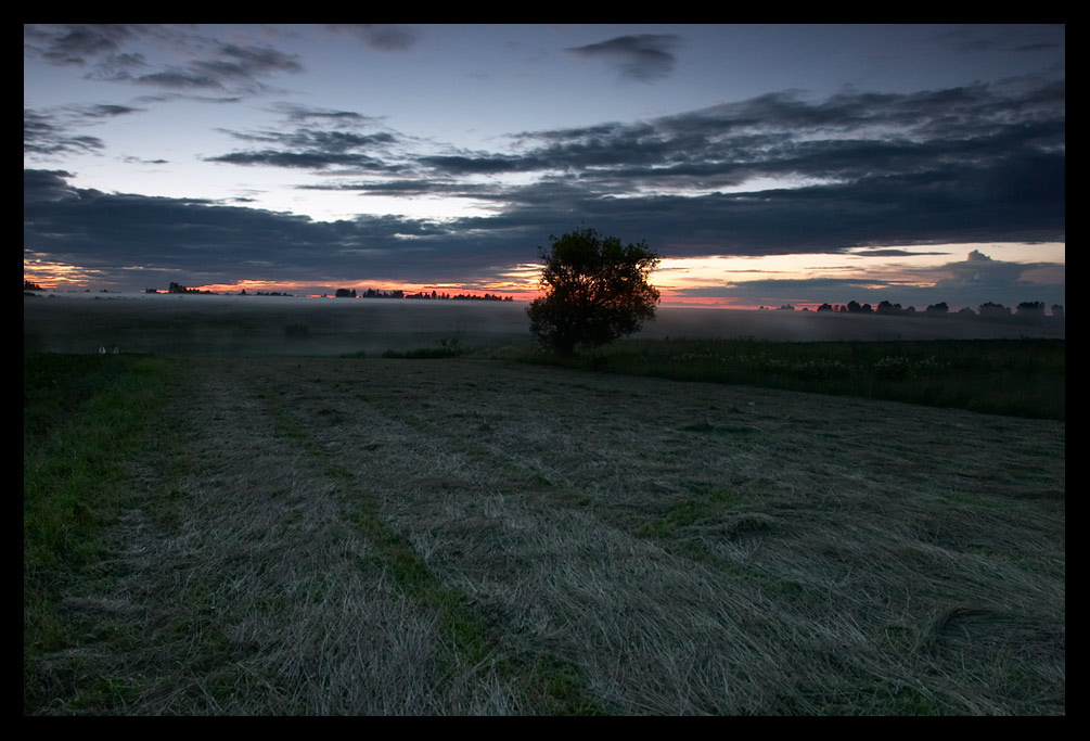 *** 