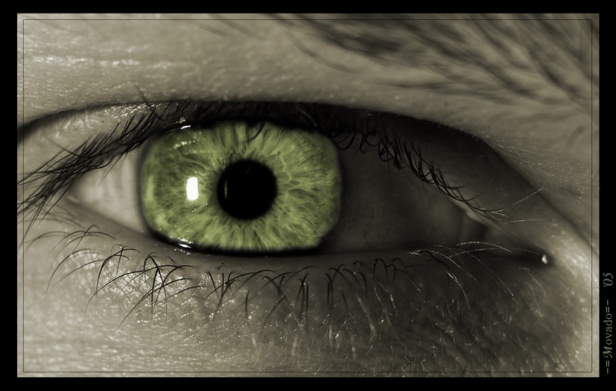 ...if you want to open new worlds - just look into yourself.... 